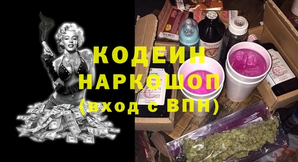 гашик Киренск