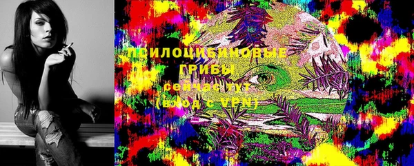прущая мука Кинешма