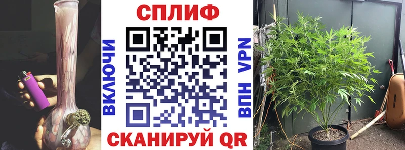 Купить  Темрюк  Конопля семена 